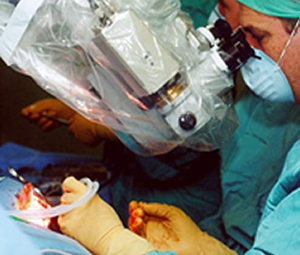 [ Implante coclear.JPG ]